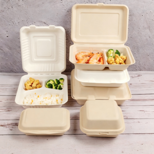 Bagasse Clamshell Takeaway Food Boxes