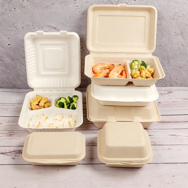 Bagasse Clamshell Takeaway Food Boxes
