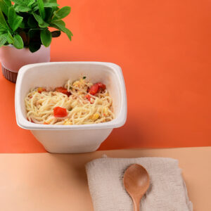 Square Bagasse Noodle Bowls