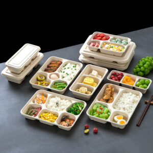 Bagasse Compartment Meal Trays