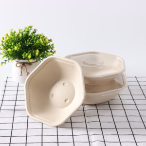 Hexagonal Bagasse Food Bowls