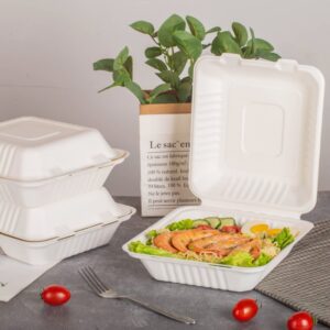 Bagasse Food Containers