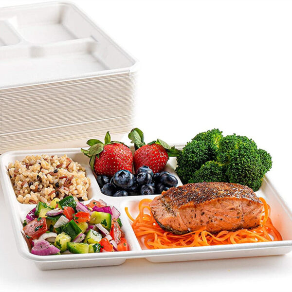 5 Compartment Bagasse Food Trays