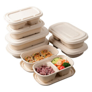 Sugarcane Pulp Food Containers