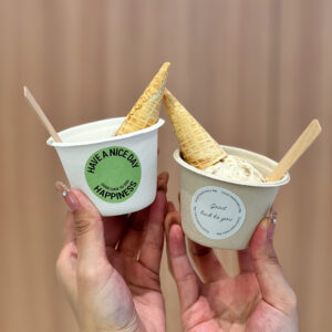 Bagasse Ice Cream Cup
