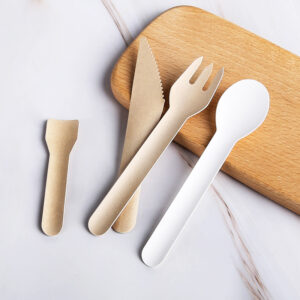 Disposable Paper Cutlery